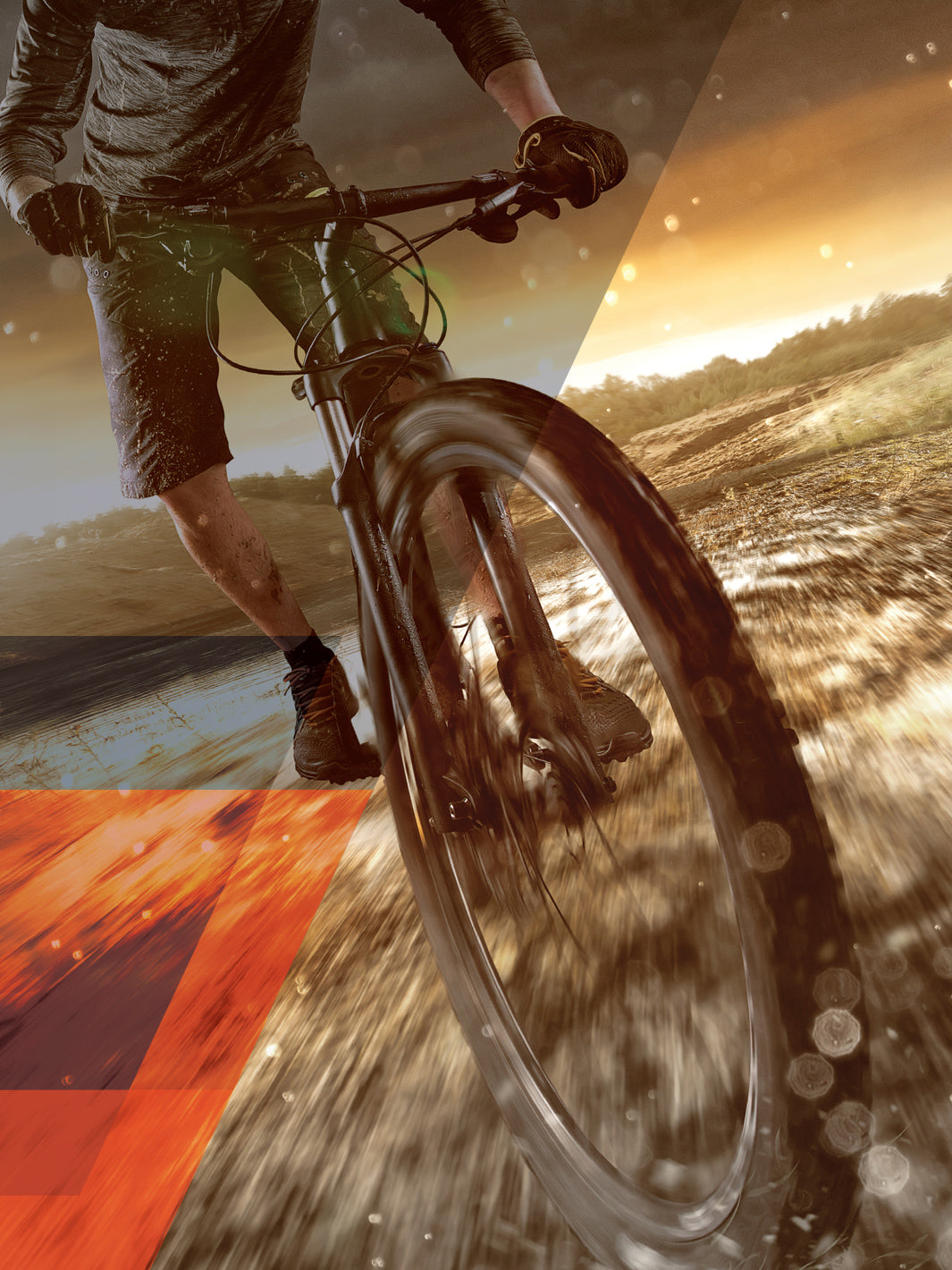 Mountain Bike Tyres